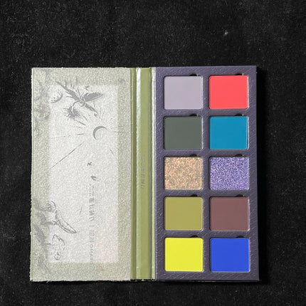 DRAMO 10 Colors Eye Shadow Palette Matte Glitter Eyeshadow Pigments Waterproof Earth Color Shimmer chameleon Cosmetics