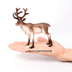 Reindeer B