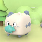 Square cat
