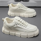 Beige / 39