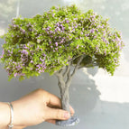 25CM GREEN PURPLE