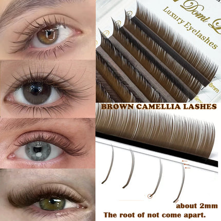 Domi Lash Brown Color Individual Lashes 0.05 0.07 LJ LC LB  LD Curl Eyelash Extensions  Upgrade Premium Soft False Eyelashes