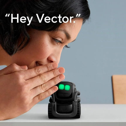 AI ChatGPT 2.0 Connected Robot Companion Smart Autonomous Home Robot with Face Recognition and Voice Conversations For Kids Gift