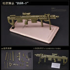 DSR-1