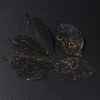 Black Gold Color
