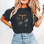DG / XS