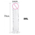 2XL  Lucency