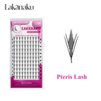 Pteris Lash / D / 0.07mm|MIX9-13