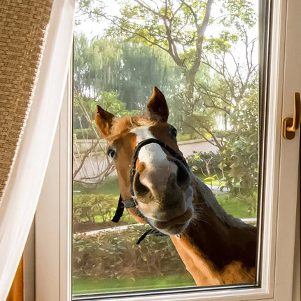 Funny Horse Self-Adhesive Window Stickers, Bedroom Entryway Living Room Porch Home Decoration Wall Stickers, Removable Stickers