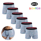 B2-6PCS-print / S