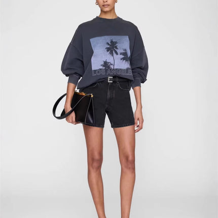 2025 Winter New North American Niche Classic Letter BING Printed Inner Fleece High Neck Loose Women's Sweatshirt