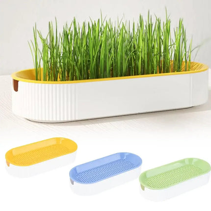 Hydroponic Cat Grass Box – Soilless Catnip Planting Set with Cat Treats for Easy Growth