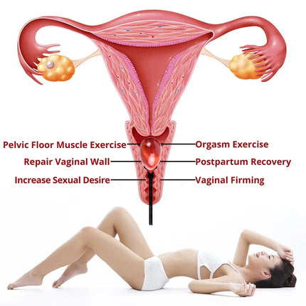 3Pcs/Set Natural Carnelian Yoni Egg Women Kegel Exercise Massage Ball Hygiene Care Jade Egg Vaginal Muscle Tightening Kegel Egg