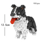 Collie block / avec boîte