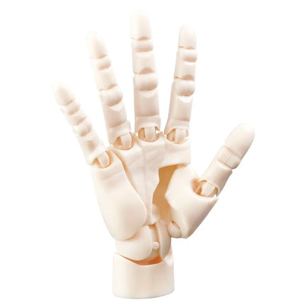 Art Hand Figure Joint Model Painting Sketching Blind Box Children Toy