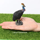 Cassowary