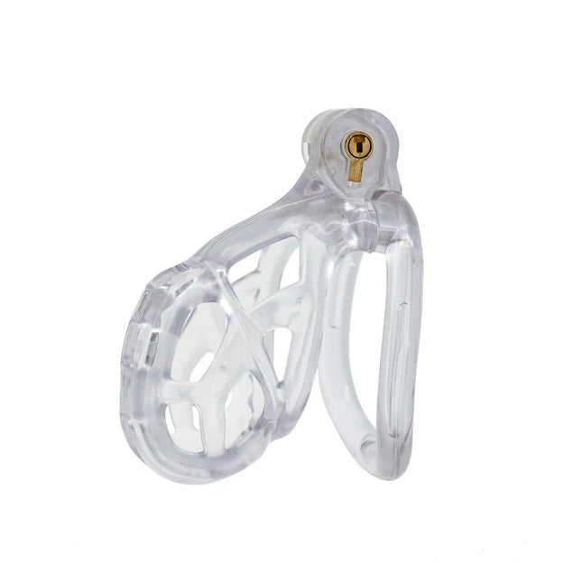 6 Colors of Cobra Chastity Cage for Men Penis Lock with 4 Size Cock Rings CB Chastity Device for Gay Men Penis Restraint Sex Toy