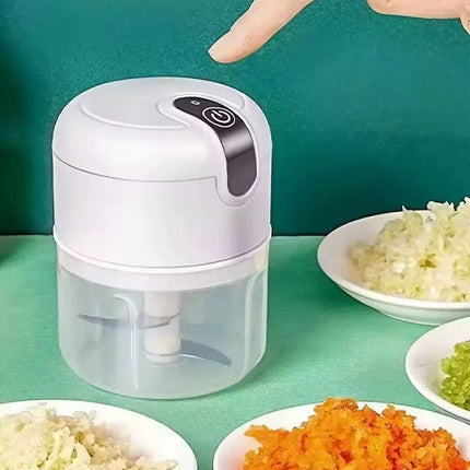 Electric Garlic Puree Grinder, Rechargeable 260ml Onion, Ginger, Chili, Vegetable Grinder, and Complementary Food Machine