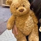 50cm bear