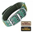 Green Collar / XL