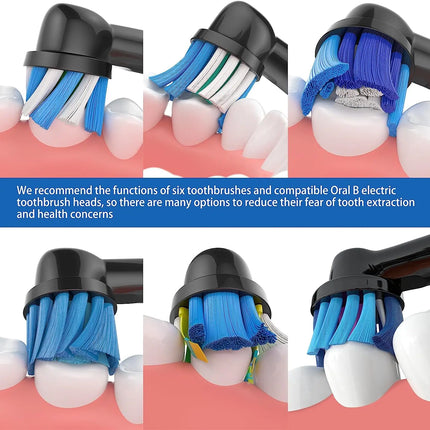 Oral-B Multi Brush Heads / Têtes Oral-B Multi
