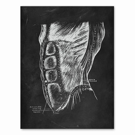 Human Anatomy Artwork Medical Clinic Wall Picture Skeleton Organ Muscle System Vintage Canvas Print Body Education Poster