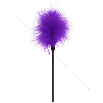Beginner BDSM Flirting Set –Sensual Tickler Feathers & Brushes Kit, Adult Sensory Massage Tools for Couples Women Men