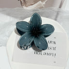gris bleu