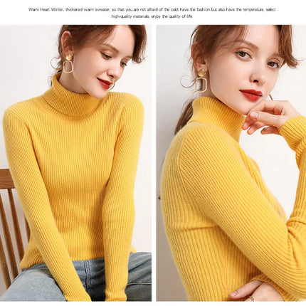 Heliar Women Fall Turtleneck Sweater Knitted Soft Pullovers Cashmere Jumpers Basic Soft Sweaters For Women 2024 Autumn Winter