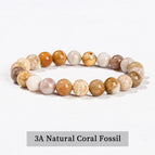 Coral Fossil / 6mm