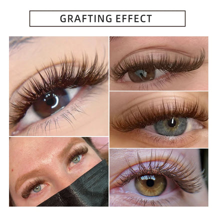 Yelix 16 Rows Dark Brown Premium Natural Individual Eyelashes Extensions Soft Classic Faux Cils Professional Supplies for Lash