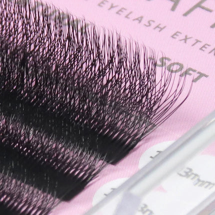 ANNAFRIS 6D W Lash Extensions Natural Soft Premade Volume Fans  6D W Easy Fan Eyelash