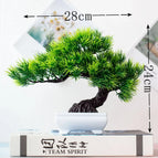 yueyayinkesong green