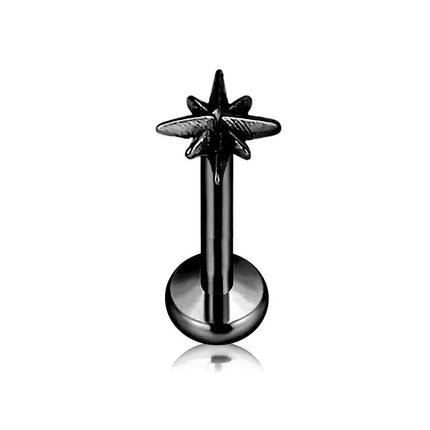 ASTM F136 G23 Titanium Star Heart Threadless Piercing Fine Pin Push in Labret Stud Daith Conch Earring Lip Jewelry 16G 18G 20G
