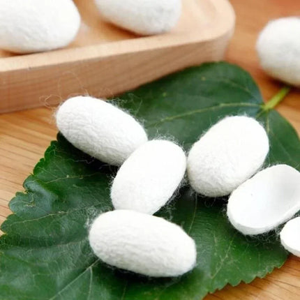 10Pcs Organic Natural Silk Cocoons Silkworm Balls Face Skin Care Scrub Purifying Acne Anti Aging Whitening Hot Sale