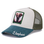 Elephant / 56cm-60cm