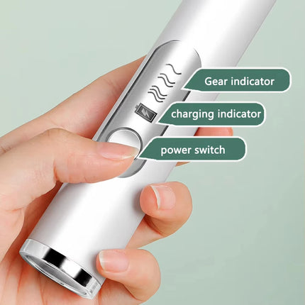 Mini Eggbeater Milk Coffee Blender Handheld Cream Whipper Latte Cappuccino Beverage 3-speed Rechargeable Blender