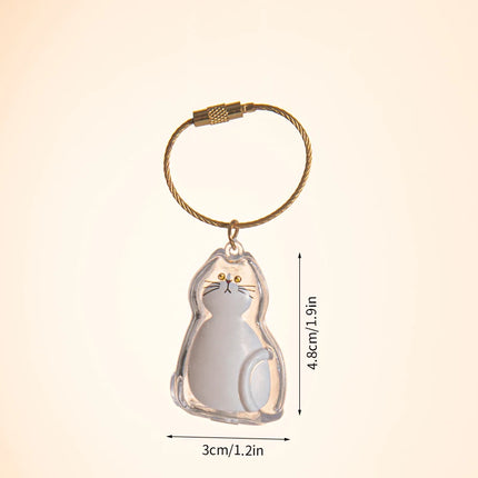 Cat Hair Memorial Storage Keychain Cat Fur Container Pets Cat Fur Collector Capsule Keyring Kitty Hair Hanging Pendants