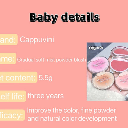 Cappuvini Gradient Soft Mist Monochrome Powder Blush Matte Makeup blush Palette Cosmetics Rouge