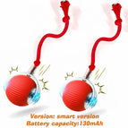 Red Tail Ball 2pcs / 2026 Version