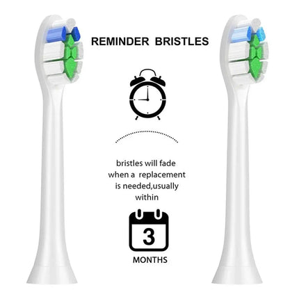 Sonicare Brush Heads 1100 2100 4100 / Têtes Sonicare