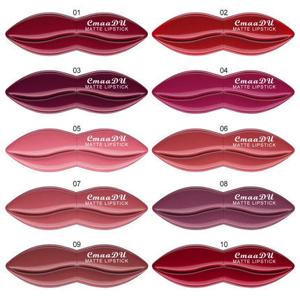 5pcs Matte Lipstick Makeup Set Super Smooth Texture Long Lasting Lipstick Kit High Pigment Sexy Lip Stick with Perfect Gift Box