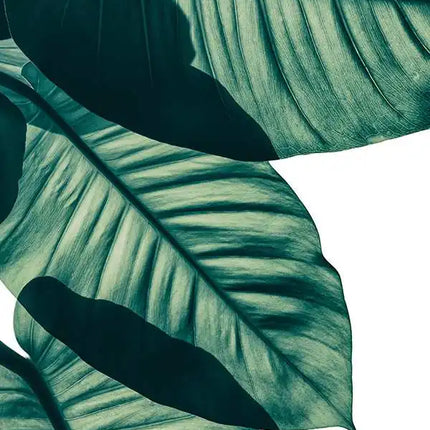 Bohemian Watercolor Tropical Plant Canvas Painting Monstera Banana Leaf Eucalyptus and Fern Art Posters Aesthetic Bedroom Decor