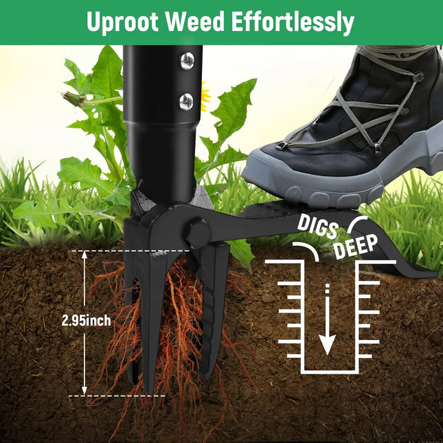 4-Prong Weeder with Long Handle,Durable Stainless Steel, Ergonomic Grip for Easy Weeding, No Bending or Kneeling Needed