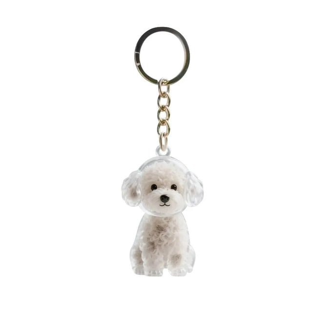 Transparent Dog Fur Storage Fur Storage Capsule DIY Accessories Portable Souvenirs Keychain Handmade Design Pet Hair Container
