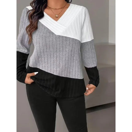 Plus Size New Women's Autumn Fashion Sweater Colorblock Long Sleeve V Neck Casual Daily Pullover