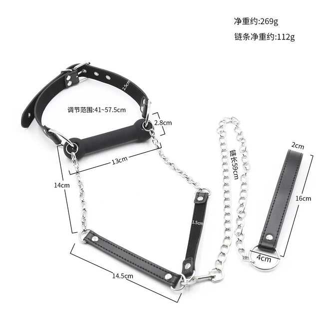 Bdsm Bondage Silicone Dog Bone Ball Gag, Leash Chain Attached, Puppy Play Mouth Stuffed Stick Restraint Gag Slave Roleplay Sex Toy