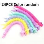 24PCS puppy