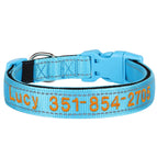 Bleu / XL