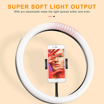 Ring Light Desktop Stand Phone Holder,3000K-6000K 12" LED Dimmable Selfie USB Powered Conference Light for Vlogs,YouTube リングライト